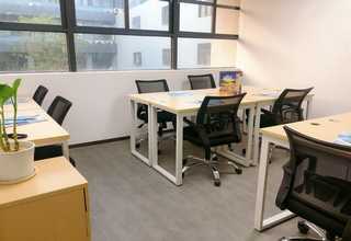 上海冷季型草坪多少钱一平方