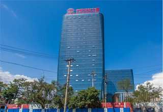 西北临床牙托粉型号