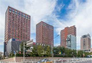 台州市车棚塑料绿植价格