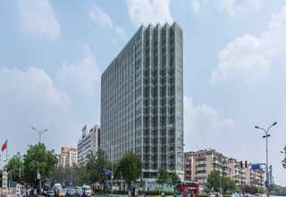 宝山区无毛猫咪定制选购报价